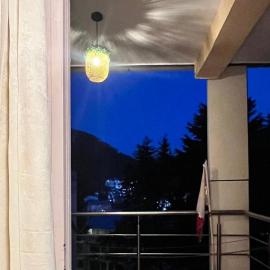 Premium 2BHK near Kainchi Dham