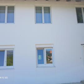 Radovici Family House