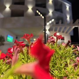 Hotel Porto A