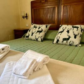 B&B Animali Selvaggi