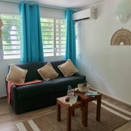 Charmant bungalow T2 avec grand jardin et accès privé plage