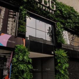 TBG Studios