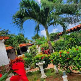 Habitación sencilla