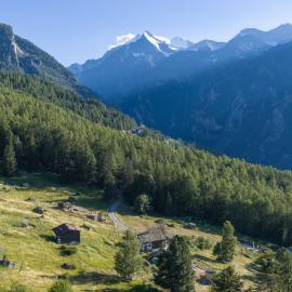 Waldnest, hotel en Grächen