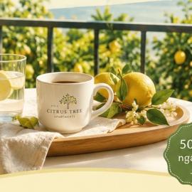 The Citrus Tree Apartments