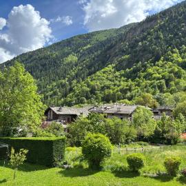 Le Petit Mont Blanc - Appartamento Alpino