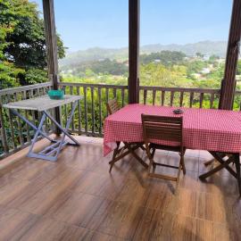 Studio moderne avec terrasse à Le Robert 60 m²