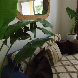 Anjuna Abode beautiful 1 BHK 700m from Anjuna Beach, hotel in Anjuna