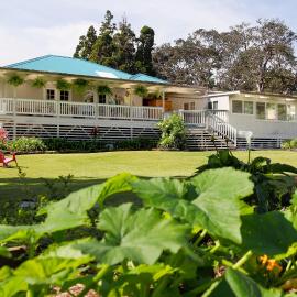 Aloha Junction Bed and Breakfast -Minutes away from Hawaii Volcanoes National Park, hotel a Volcano