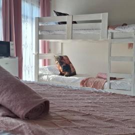 Cozy Guest Room with Private Facilities in Randburg