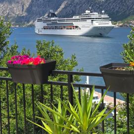 Apartman Jelena
