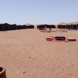 Sahara Caravan