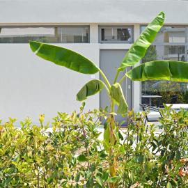 Downtown apartment - Signature, hotel in Kamena Vourla