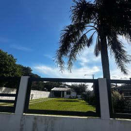 Canto dos pássaros
