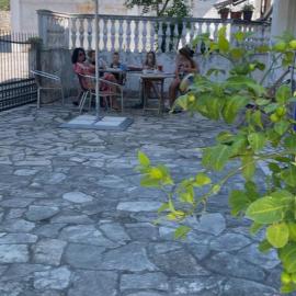 Bratica Domaća