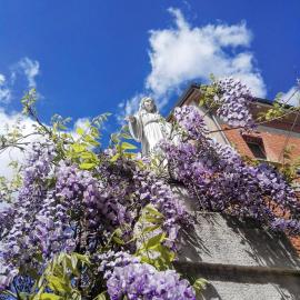 Oasi della Divina Volontà