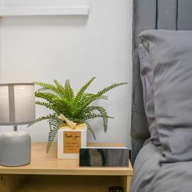 Spacious Private Rooms Near Central London, hotel in London