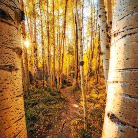 THE DROP IN the edge of adventure, khách sạn ở Mount Crested Butte