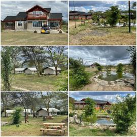 Eschato tented camp
