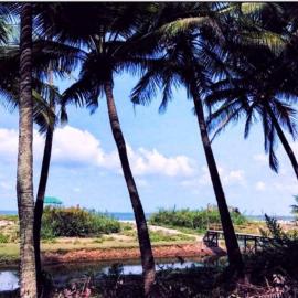 Samant Beach Resort