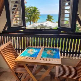 Studio confortable vue jardin au Diamant, 25 m²