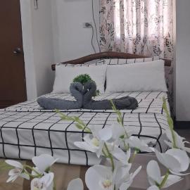 Budget Studio Type Near SM Cebu Arena