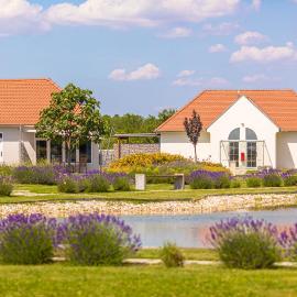 Chalets Franciska Major, Pro Village, viešbutis mieste Sopronkövesd
