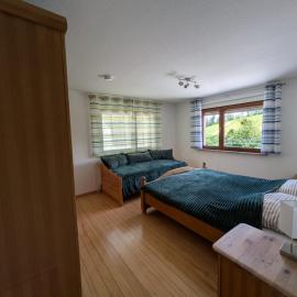Ferienwohnung Rebenblick Lauf, hotel u gradu Lauf