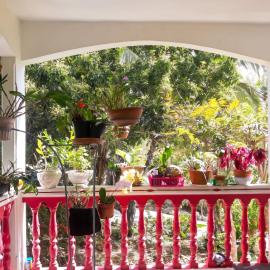 Appartement lumineux aux Abymes, 56 m², terrasse et parking