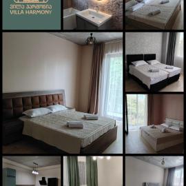 Villa Harmony Tianeti, hotel a Tʼianetʼi