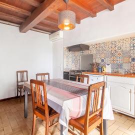 Maison de charme à Puycelsi avec jardin et barbecue
