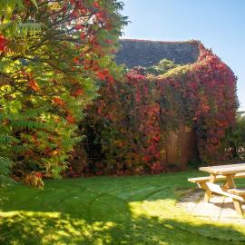 Maison de charme à Le Mené avec jardin โรงแรมในCollinée