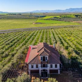 Olyfhoek Farm Accomodations、Windmeulのホテル