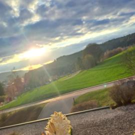 Superior Ferienapartment LATIBÜHL am SCHLUCHSEE am Waldrand mit Balkon, Pool, Tiefgarage und Abendsonne