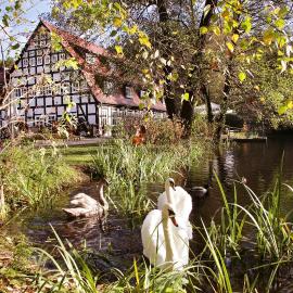 Springbach-Mühle Belzig, hotel en Bad Belzig