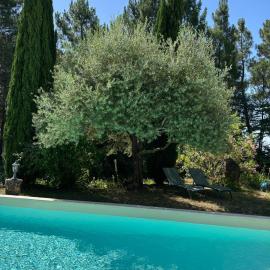 Brin d Ardèche