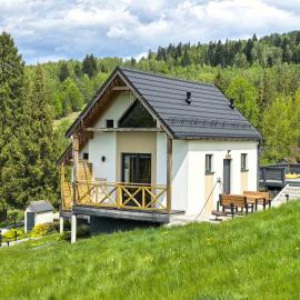 Chatki wisla houses