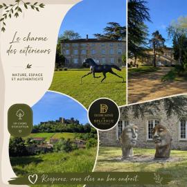 DOMAINE de BELLEVUE, hotel in Estandeuil