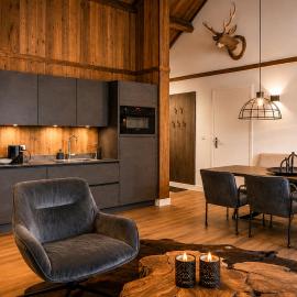 Stylish Loft Apartment with Mountain View near the Lake