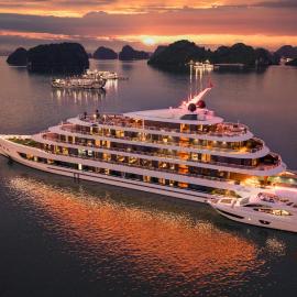 Sea Stars Cruise Ha Long