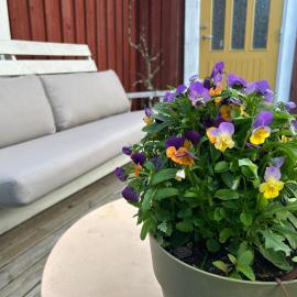 Farmstay Outdoor Old Hunters Cabin, 2p, מלון באוריינג