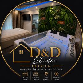 D&D Studio – hotel w mieście Petrila