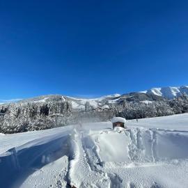 Appartamento sulle piste Apartment on the slopes