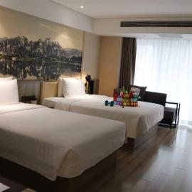 Atour Hotel Xi'an Xixian Vientiane City