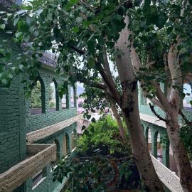 Vyom Hostel, hotel em Pushkar