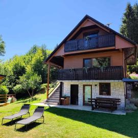 Chalet Zasavka, готель у місті Dol pri Hrastniku
