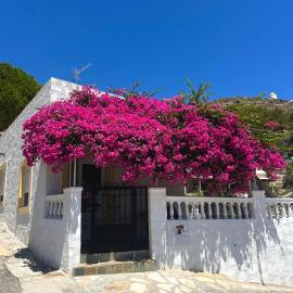 Bougainvillea Nest Panteli, Leros