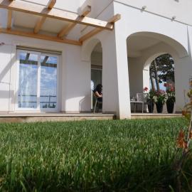 Mgd House