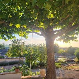 la Balançoire des Vignes