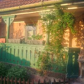 Stanciova Shura Stories farm stay, hotel di Stanciova